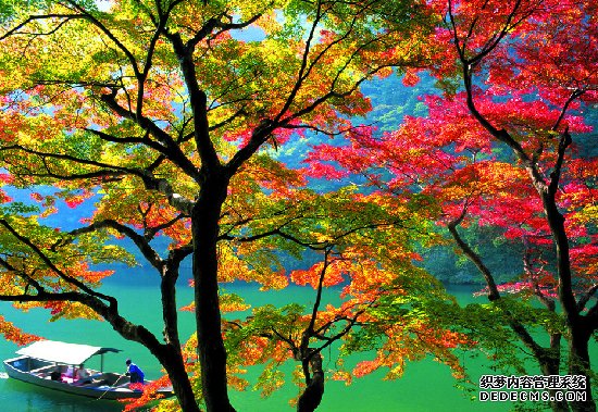 點(diǎn)擊查看源網(wǎng)頁(yè)