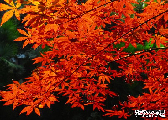 點(diǎn)擊查看源網(wǎng)頁(yè)