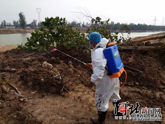 河北先后向災區調撥疫苗11000支 暫無(wú)洪澇疫情報告